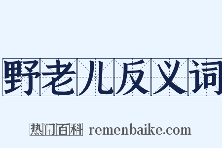 野老儿反义词是什么意思的图片